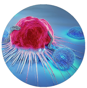 Webinar: Resolving Clonal Heterogeneity in Mouse Organoid Cancer Models